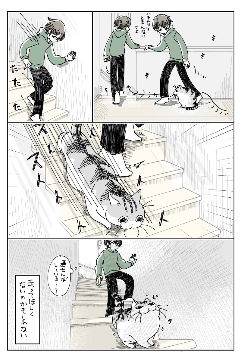キュルZ tweet media