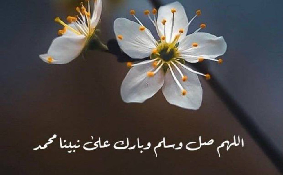 اللهم صَلِّ وسلم على نبينا محمد ﷺ  
عدد ما ذكره الذاكرون   
وعدد ما غفل عن ذكره الغافلون