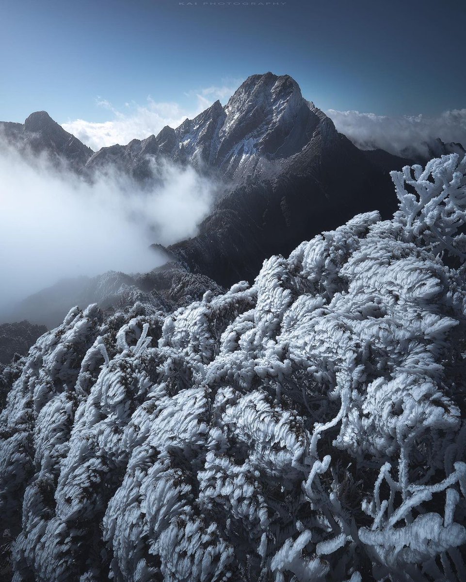 I came from afar to have an appointment with you.