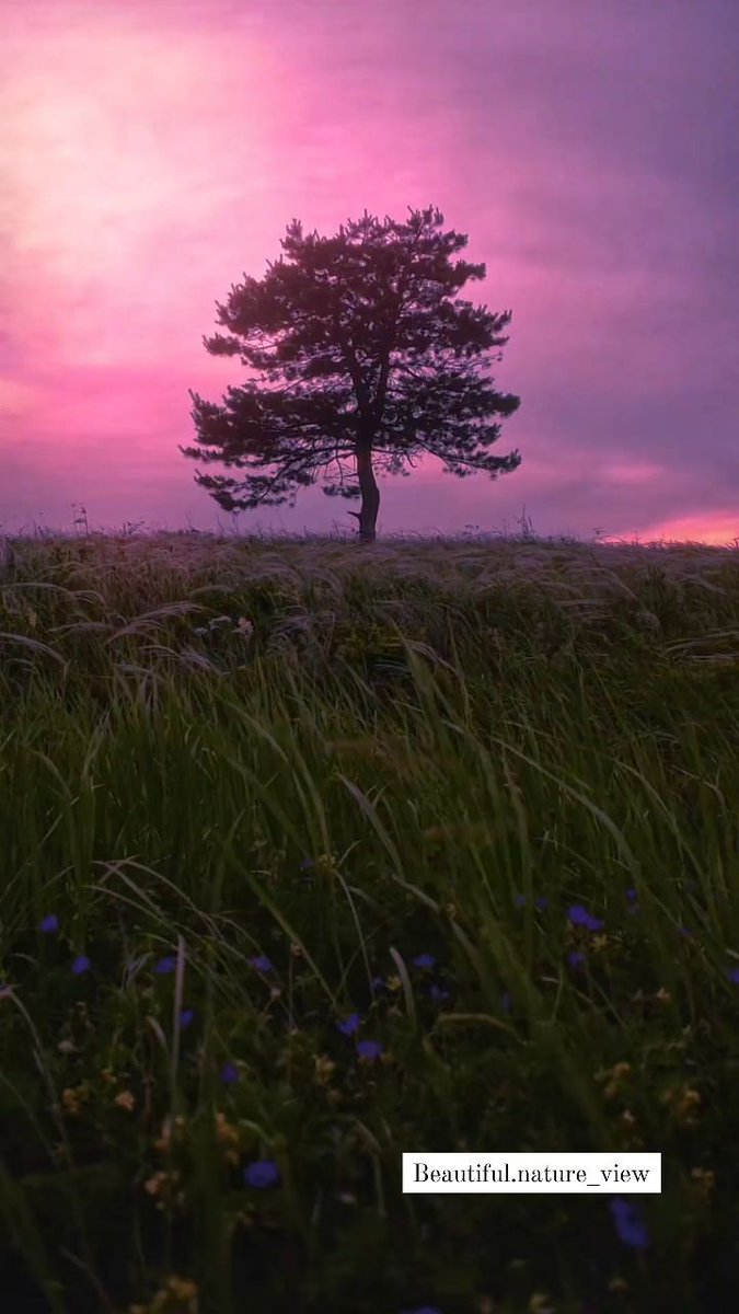 Your smile is so beautiful, like a spring flower...