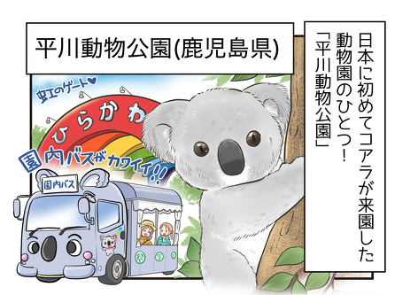『あてっこ どうぶつずかん だれ』といく 全国の動物園案内 ! 今回ご紹介するのは 、 【鹿児島県・平川動物公園】!!🐨🦒✨ 4コマと動物コラムを楽しんでくださいね😊