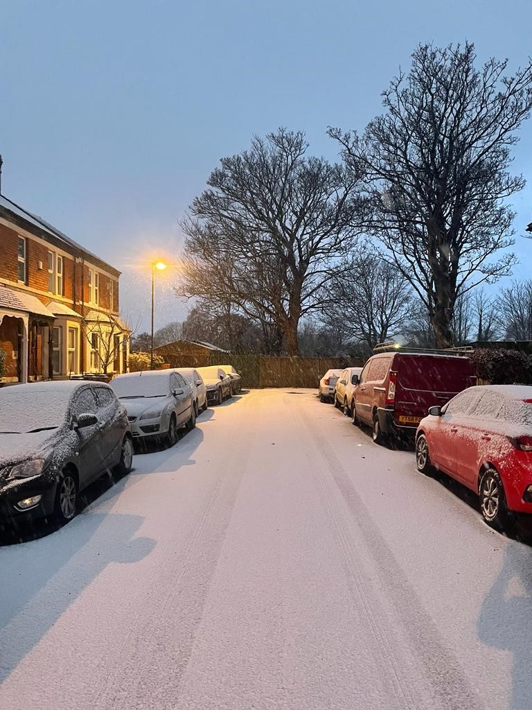 Paula Fitzpatrick tweet media