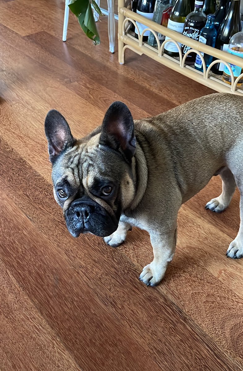 Luke Marlow (@marlowluke) on Twitter photo The great man Frank is getting kicked out of home. He has to come to work with me tomorrow. 200 likes Iβll put him on camera π€£ <a href="/SkyRacingAU/">SKY Racing</a>
Racing HQ from 6:30am tomorrow! The great man Frank is getting kicked out of home. He has to come to work with me tomorrow. 200 likes Iβll put him on camera π€£ <a href="/SkyRacingAU/">SKY Racing</a>
Racing HQ from 6:30am tomorrow!
