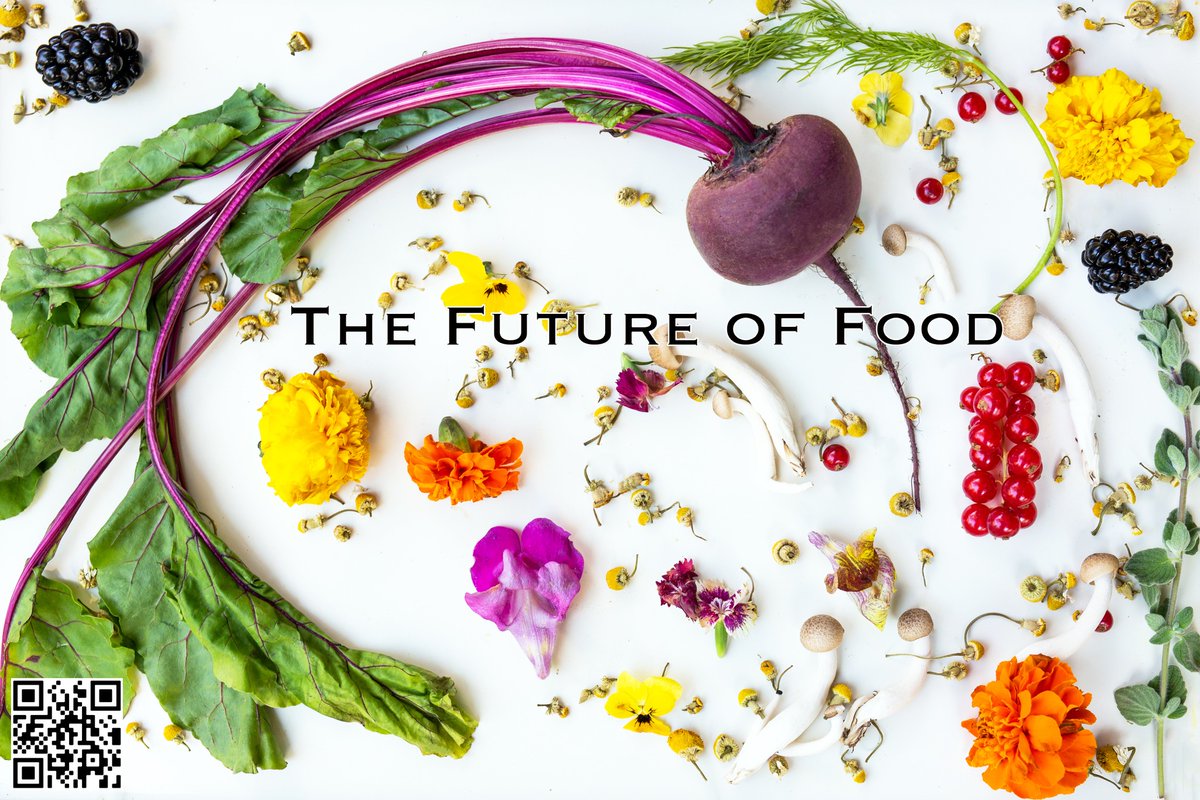 WildBeets's tweet image. 