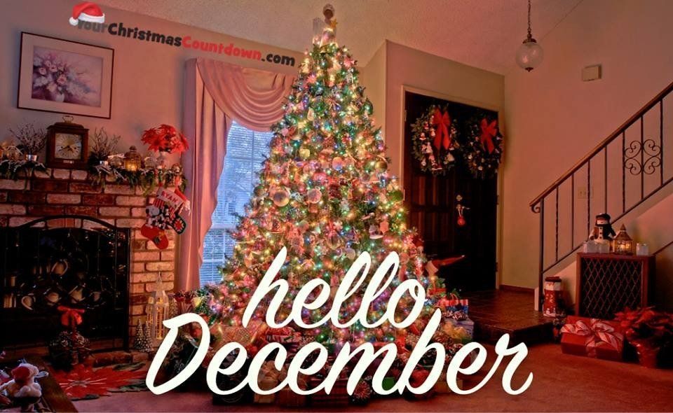 Your Christmas Countdown tweet media