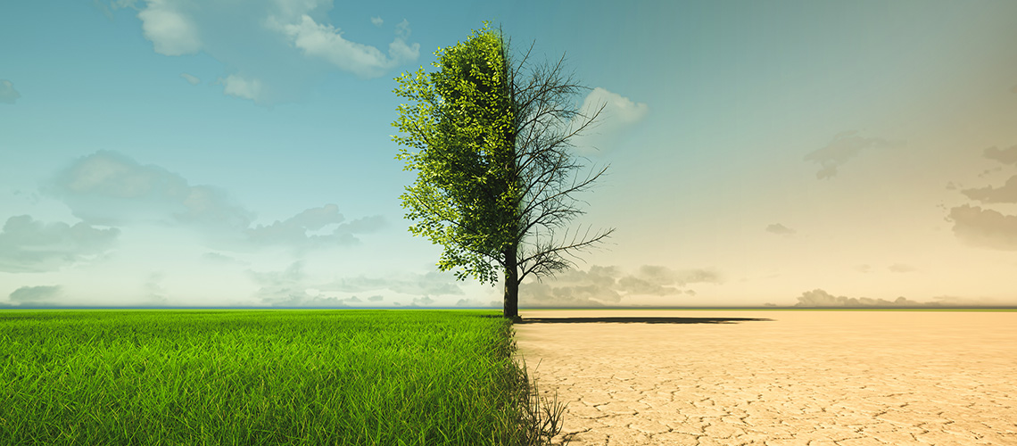 UNIGE_en (@unige_en) on Twitter photo A UNIGE team has tested six psychological interventions to combat #climate #misinformation. It shows how difficult it is to combat these messages, which are resistant to scientific information.
@TSpampatti <a href="/tobiasbrosch/">Tobias Brosch</a>
ow.ly/LIln50QcXq7 A UNIGE team has tested six psychological interventions to combat #climate #misinformation. It shows how difficult it is to combat these messages, which are resistant to scientific information.
@TSpampatti <a href="/tobiasbrosch/">Tobias Brosch</a>
ow.ly/LIln50QcXq7