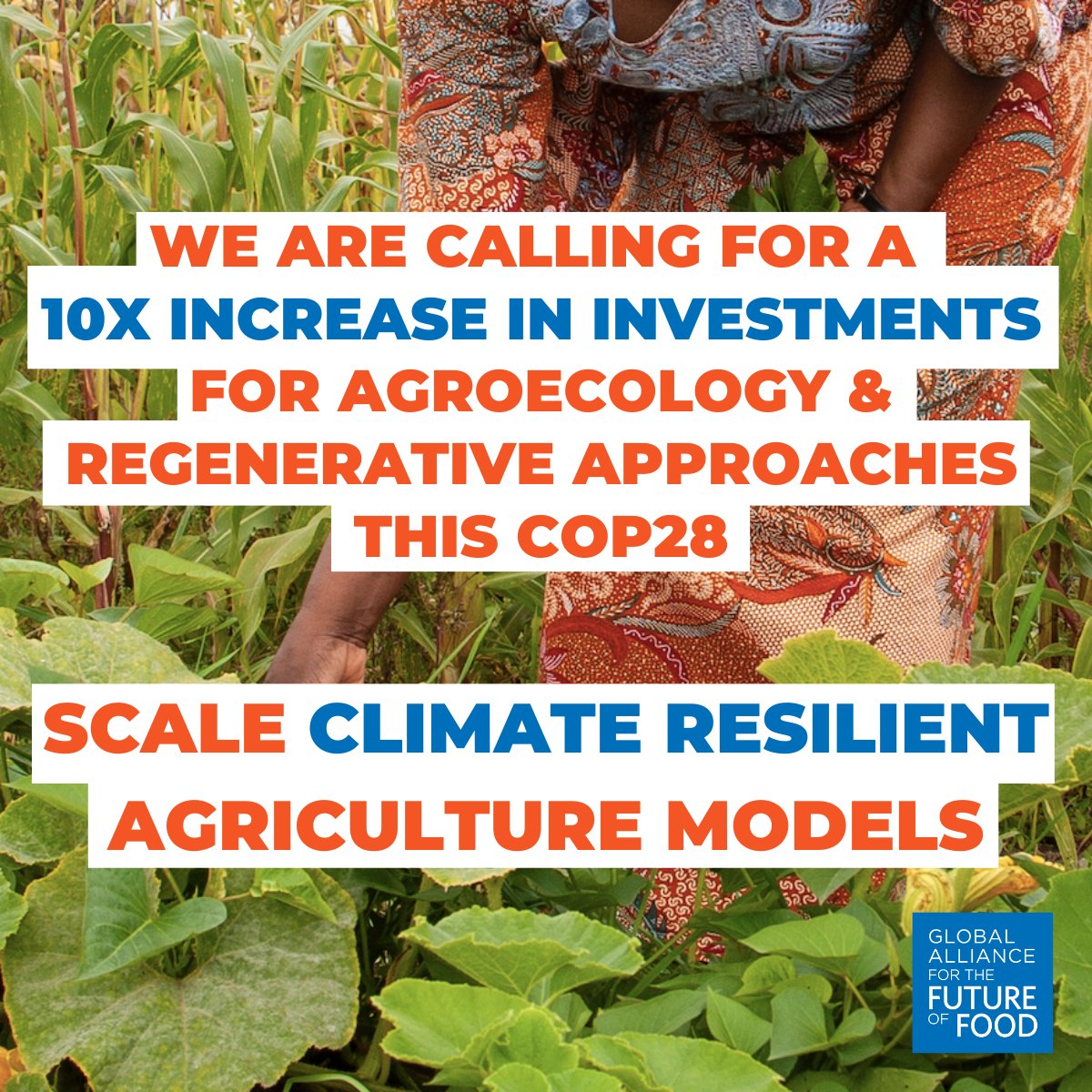 🚨ANNOUNCED AT #COP28: We are proud to be part of 20+ philanthropic funders calling for a 10x increase in annual investments for agroecology + regenerative approaches. Discover why scaling climate-resilient food systems is so urgent with our new research: futureoffood.org/insights/major…
