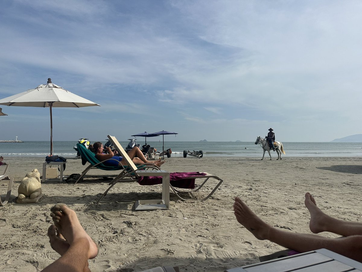 Pepe von Rembrandt tweet media