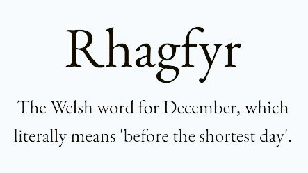 Cian McCarthy tweet media