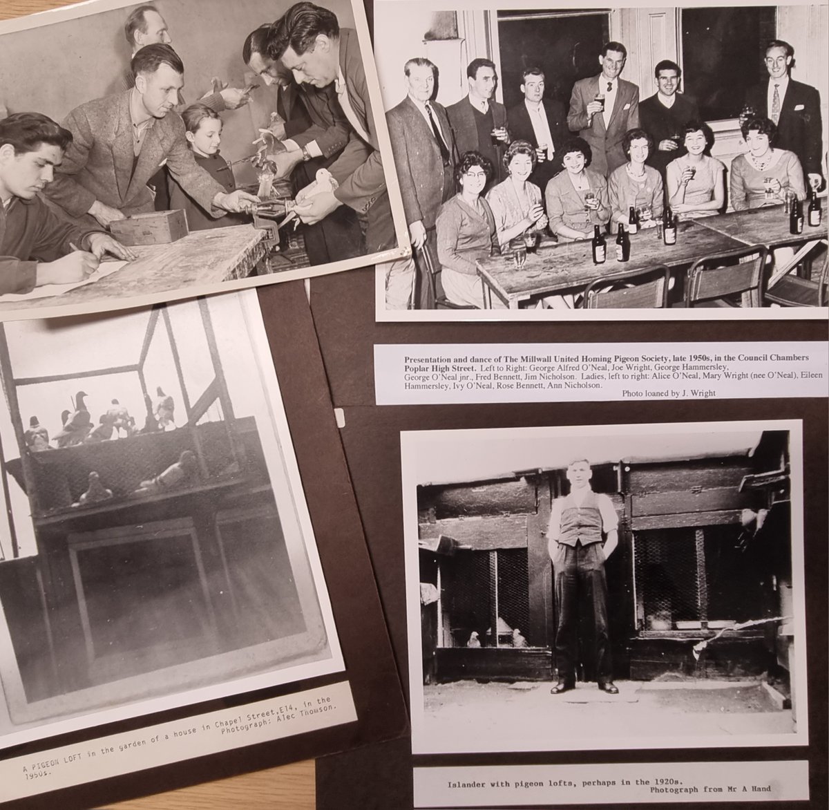 Did you know pigeon-fancying used to be a popular pastime in Tower Hamlets? 🐦 

These photos from the wonderful Island History Trust collection show that residents on the Isle of Dogs had a long tradition of keeping the birds as pets and for racing #EYAHobbies