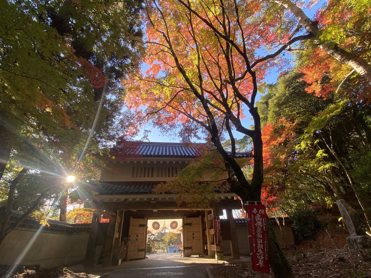 薬師堂の気温6℃

三重塔周辺…見頃
滝堂周辺…五分
宝生殿周辺…見頃
書院北庭…五分
参道…見頃
栄西禅師前…見頃
放生池周辺…五分
山門前…名残
駐車場…見頃