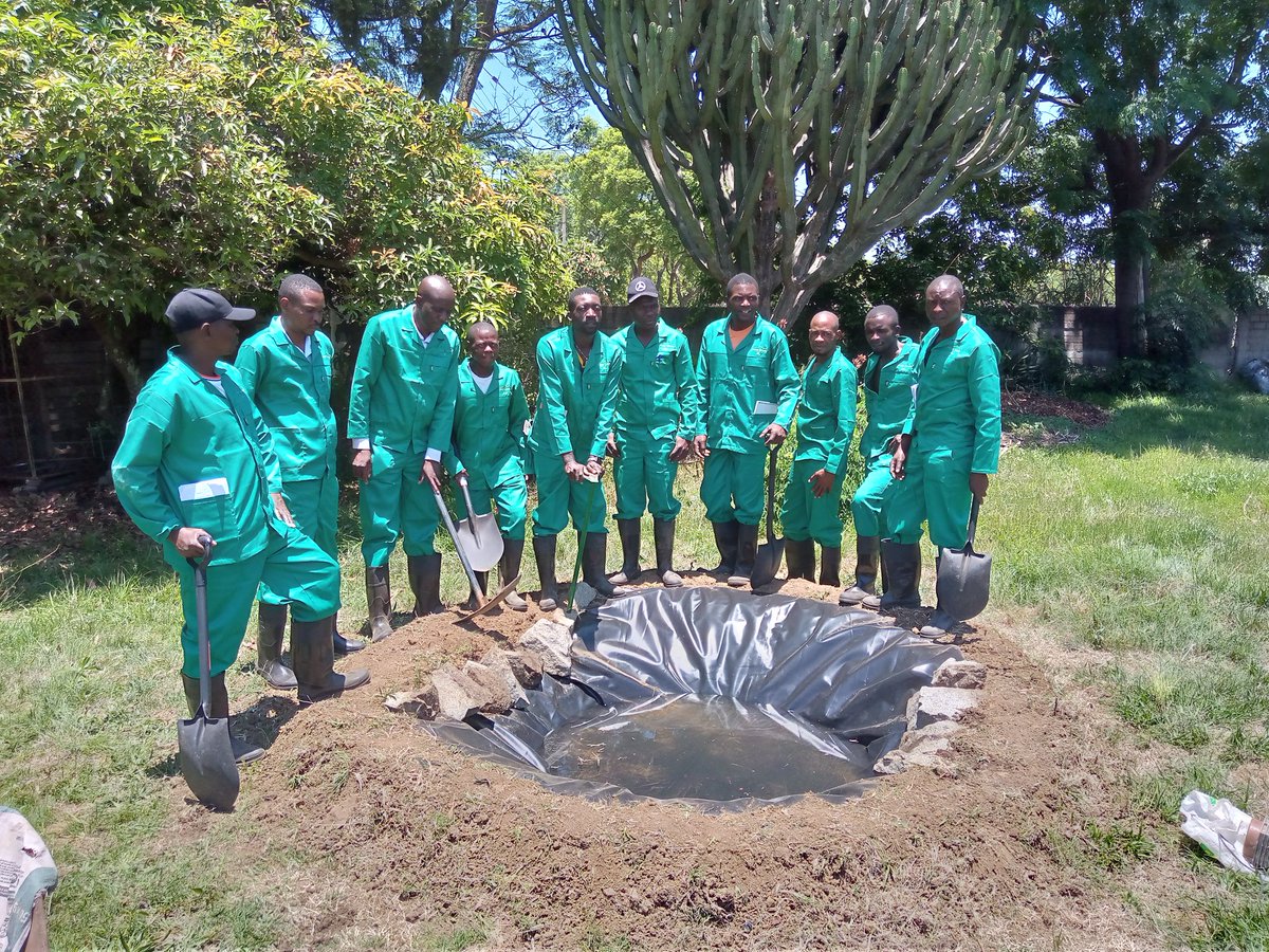 shiftorganics's tweet photo. Our work in November and December this year involves working with Domestic workers and helping the fine tune their skills sharing our knowledge with them. @DWAZimbabwe  is behind this great initiative. https://t.co/LdBUBk9eZF