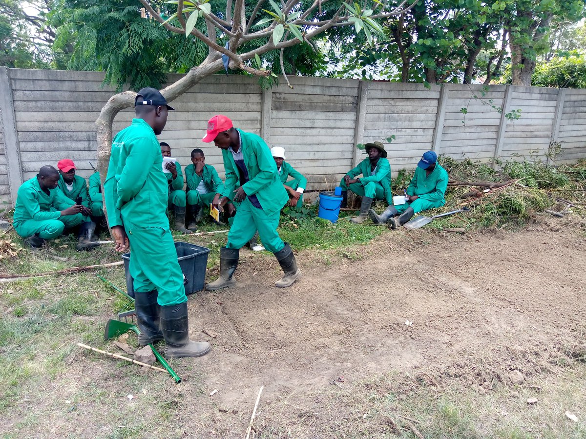 Our work in November and December this year involves working with Domestic workers and helping the fine tune their skills sharing our knowledge with them. <a href="/DWAZimbabwe/">DWAZ</a>  is behind this great initiative.