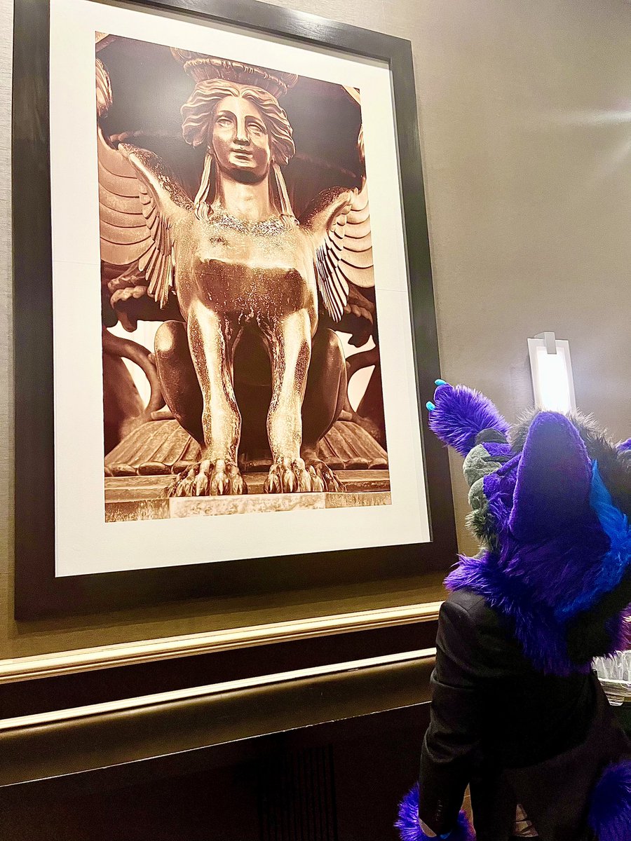 ImaSloth51's tweet photo. Taking photos of @adobetheredwolf &amp; @DallasFoxKaiju at #MFF2023 
Look how good they look ^w^
#MFF #Furfest https://t.co/bMrNiHUuMV
