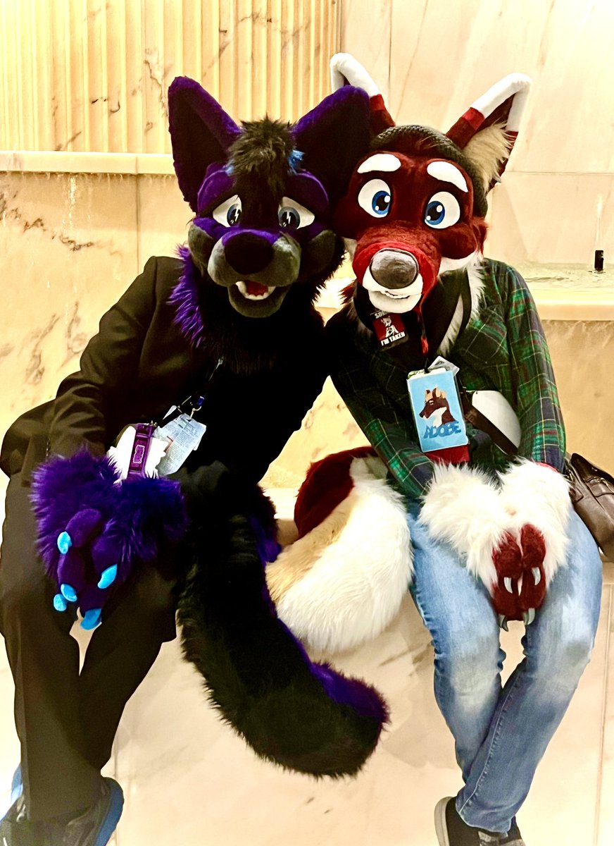 ImaSloth51's tweet photo. Taking photos of @adobetheredwolf &amp; @DallasFoxKaiju at #MFF2023 
Look how good they look ^w^
#MFF #Furfest https://t.co/bMrNiHUuMV