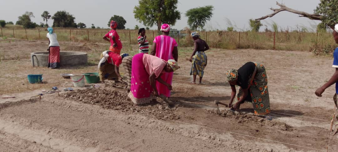 IRHA_H2O's tweet photo. Partie 2/2 Formation pratique des groupements de #femmes dans la mise en place des pépinières🌾 dans les périmètres⛏️ de Ndéménel, Keur fodé, Keur Amady Nguénar, Thiwalo (Kaolack, Sénégal)
 #nobluenogreen #zerohunger #betterwithtrees #watersecurity https://t.co/dA9Sx8J9Xf