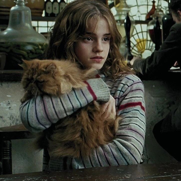 ivory_loves_cat's tweet photo. reply with a “?” and i’ll give u a franchise to share ur fav characters from ! 

i got harry potter ^^ https://t.co/Jya7Z9185Q