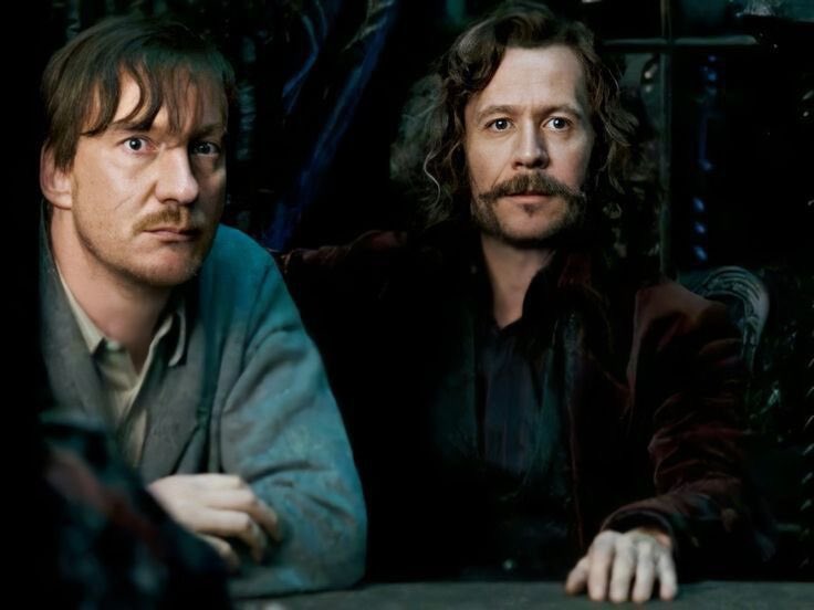 ivory_loves_cat's tweet photo. reply with a “?” and i’ll give u a franchise to share ur fav characters from ! 

i got harry potter ^^ https://t.co/Jya7Z9185Q