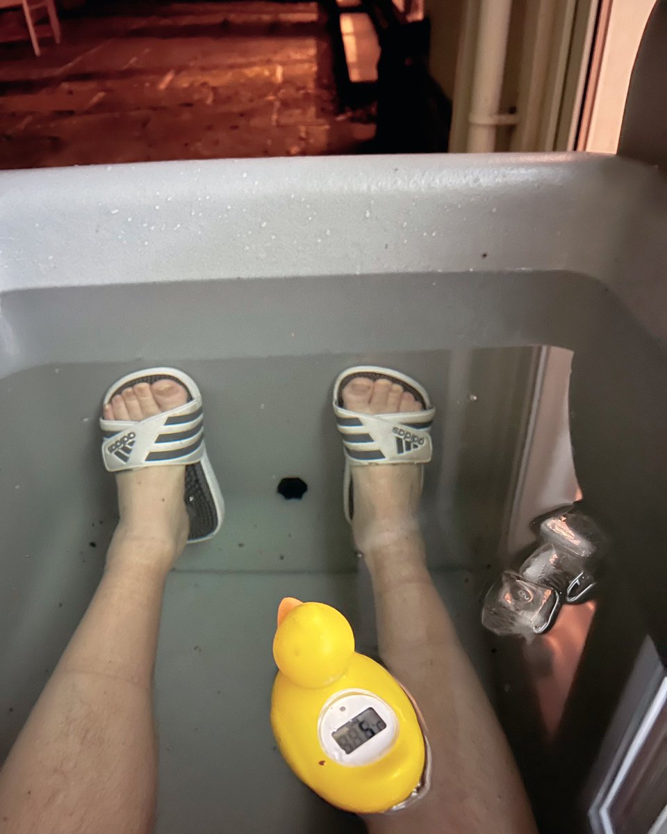 Mark Wilford tweet media