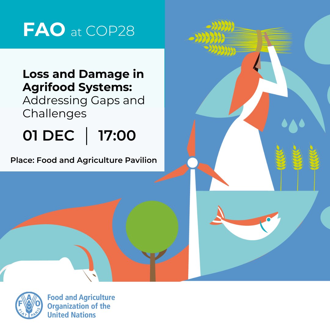 FAO in Emergencies (@faoemergencies) on Twitter photo 📌 #HappeningToday
🗓️ 1 December 2023
🕑 17:00 - 18:00 GST
This #COP28 event led by <a href="/FAO/">Food and Agriculture Organization</a> will feature a high-level panel discussion and the launch of a report on Loss and Damage in agrifood systems.
Follow live: bit.ly/413Fhzw
#ClimateAction 📌 #HappeningToday
🗓️ 1 December 2023
🕑 17:00 - 18:00 GST
This #COP28 event led by <a href="/FAO/">Food and Agriculture Organization</a> will feature a high-level panel discussion and the launch of a report on Loss and Damage in agrifood systems.
Follow live: bit.ly/413Fhzw
#ClimateAction