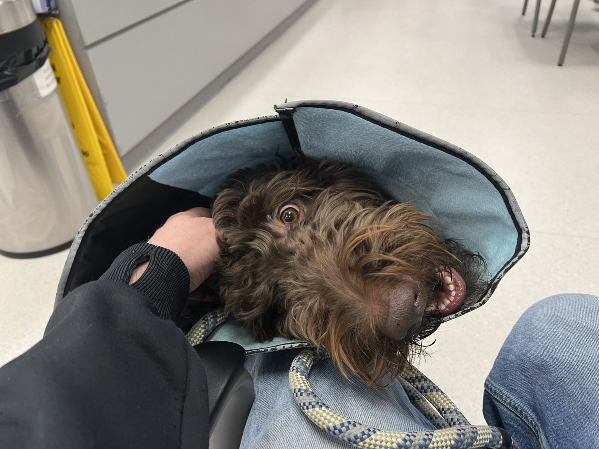 Drew Demo tweet media