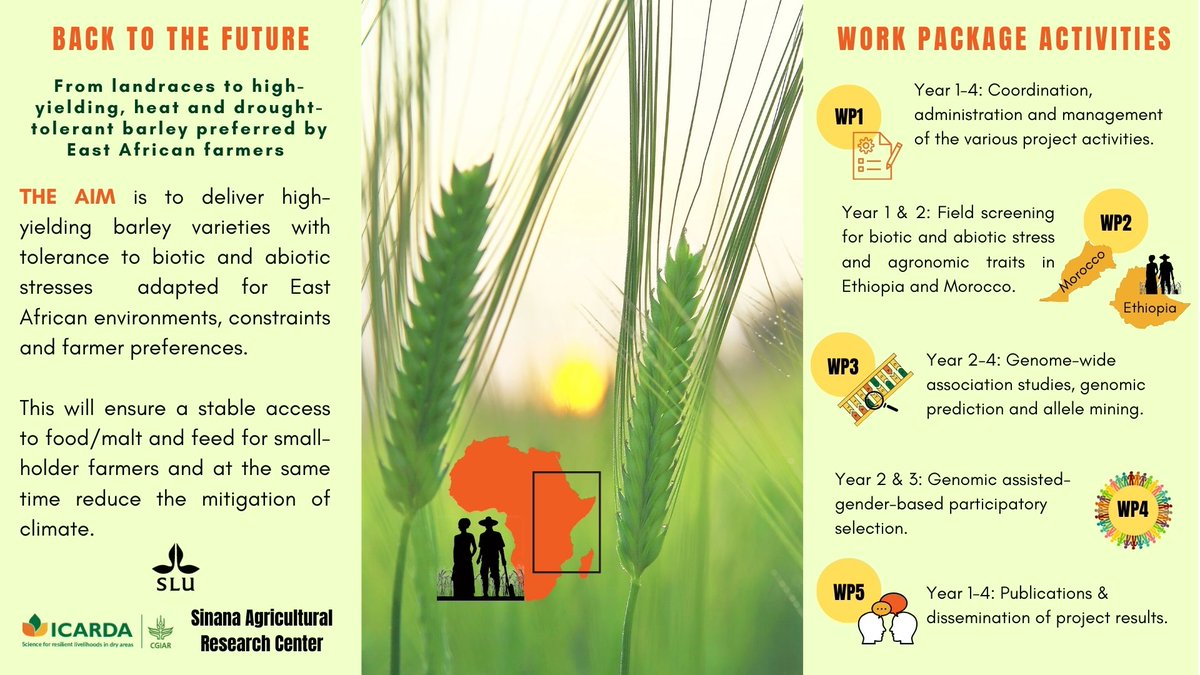 Therese Bengtsson tweet media