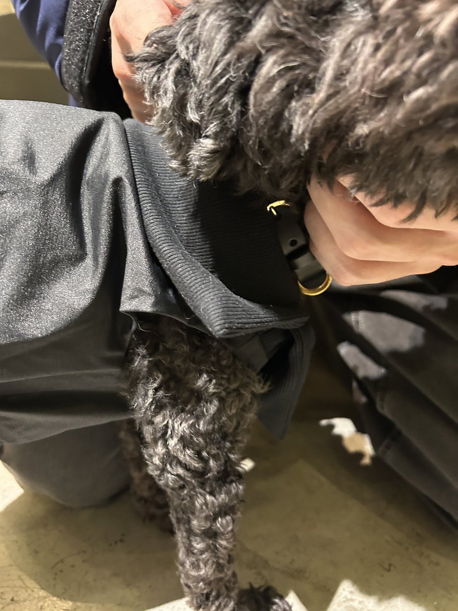 chanrihochan's tweet image. 幸(サチ)な空間にきた
#INUS