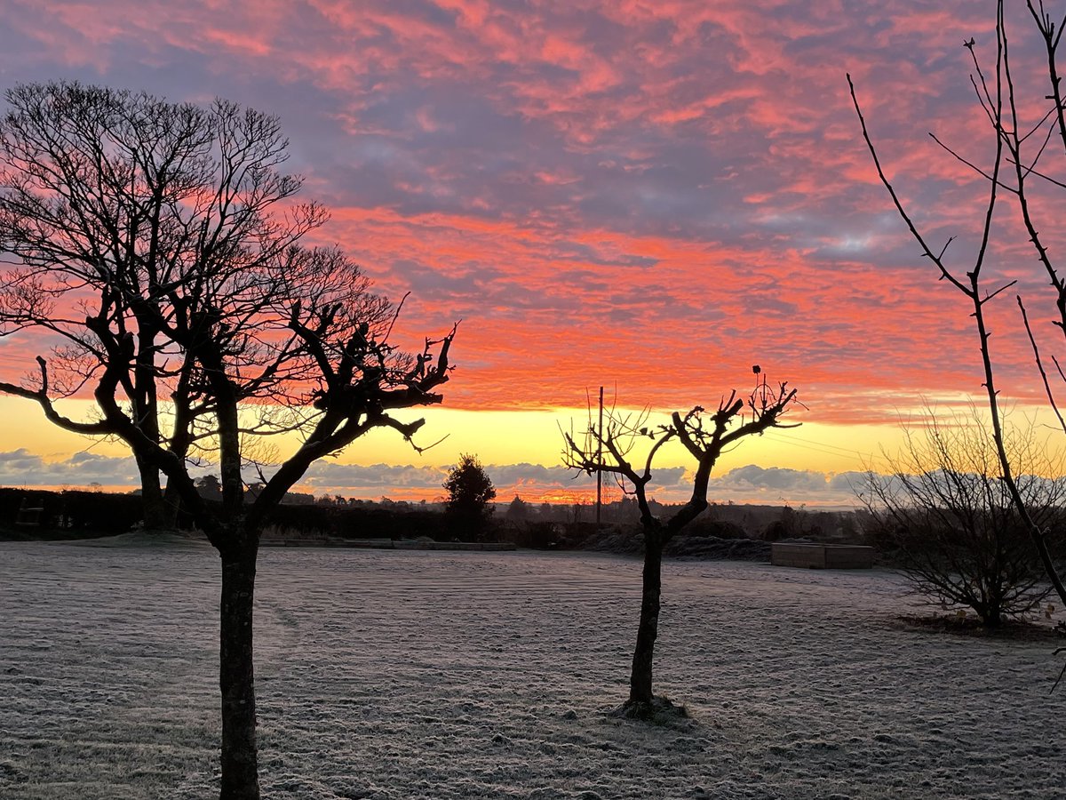 ProfMPatterson's tweet image. Cecilia is right. It is cold in Carryduff this morning. @bbcniweather @WeatherCee