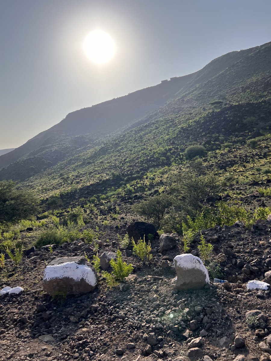 Houffanov's tweet photo. Un bouffer d’aire frais au mont #Garbi #Arta #Randonner 

Un paysage époustouflant avec la verdure du printemps. #Djibouti https://t.co/1Lz2j9575O