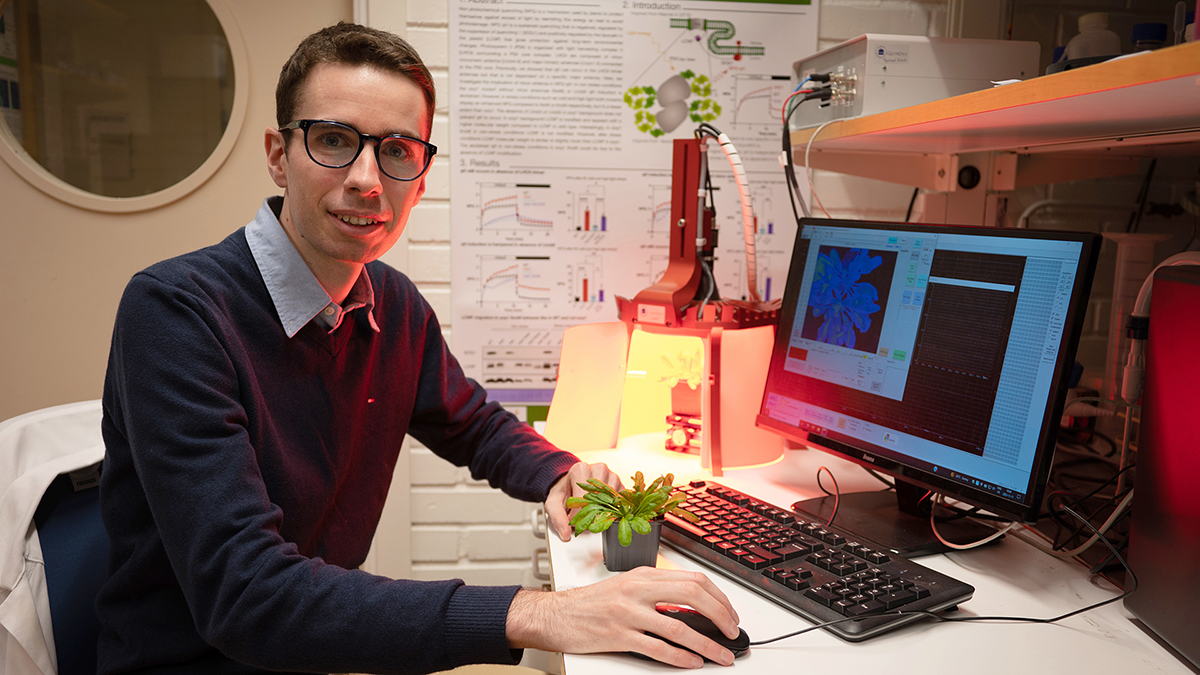 How does the qH protection mechanism prevents an eneryg overload?

#PhD student @PierrickBru from <a href="/AlizeeMalnoe/">Alizée Malnoë</a>'s group found that this mechanism is quite adaptable.

Read more about his results here👇or join his disputation <a href="/umeauniversity/">Umeå University</a> next Friday: upsc.se/about-upsc/new…