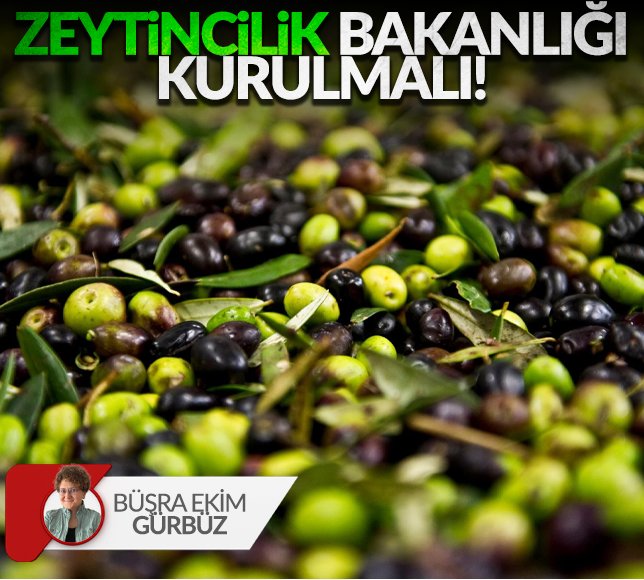 Zeytincilik Bakanlığı kurulmalı!

lifebursa.com/zeytincilik-ba…

<a href="/TCTarim/">T.C. Tarım ve Orman Bakanlığı</a> <a href="/iletisim/">T.C. İletişim Başkanlığı</a> <a href="/ikizkoydireniyo/">Akbelen Yuvamız Vermeyeceğiz 🌱🫒🌲</a> <a href="/Armagan_caglaya/">Armagan Çağlayan</a> <a href="/tarimyazari/">Ali Ekber Yıldırım</a> <a href="/DogaDernegi/">Doğa Derneği</a> #Hamas #Ekonomi <a href="/izmirzae/">Zeytincilik Araştırma Enstitüsü Müdürlüğü</a> <a href="/zeytininadi/">Marmarabirlik</a> #zeytincilikkanunuuygulansın #zeytinimedokunma #akbelen <a href="/dogader/">DOĞADER</a> <a href="/ziraatodalari/">TZOB</a> <a href="/fatihaltayli/">Fatih Altayli 🔴🇹🇷</a>