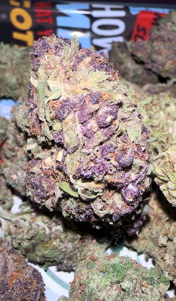 Facilísimo GANAR 🏆 

1.- síguenos 
2.- comparte esta publicación 
3.- comparte el Twiit fijo 

Si ya hiciste esos 3 pasos , comenta con gallo 🐓 esta publicación y automáticamente ya estarás participando 

La rifa será el 15 de diciembre y el premio es una onza de INVERNADERO