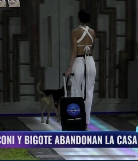 chaightv's tweet photo. para mi el reality termino dsps de esto, la única y verdadera ganadora, coni apagaste la luz de la casa en nuestros corazones <3  #GranConstanza https://t.co/55pymWKnhI