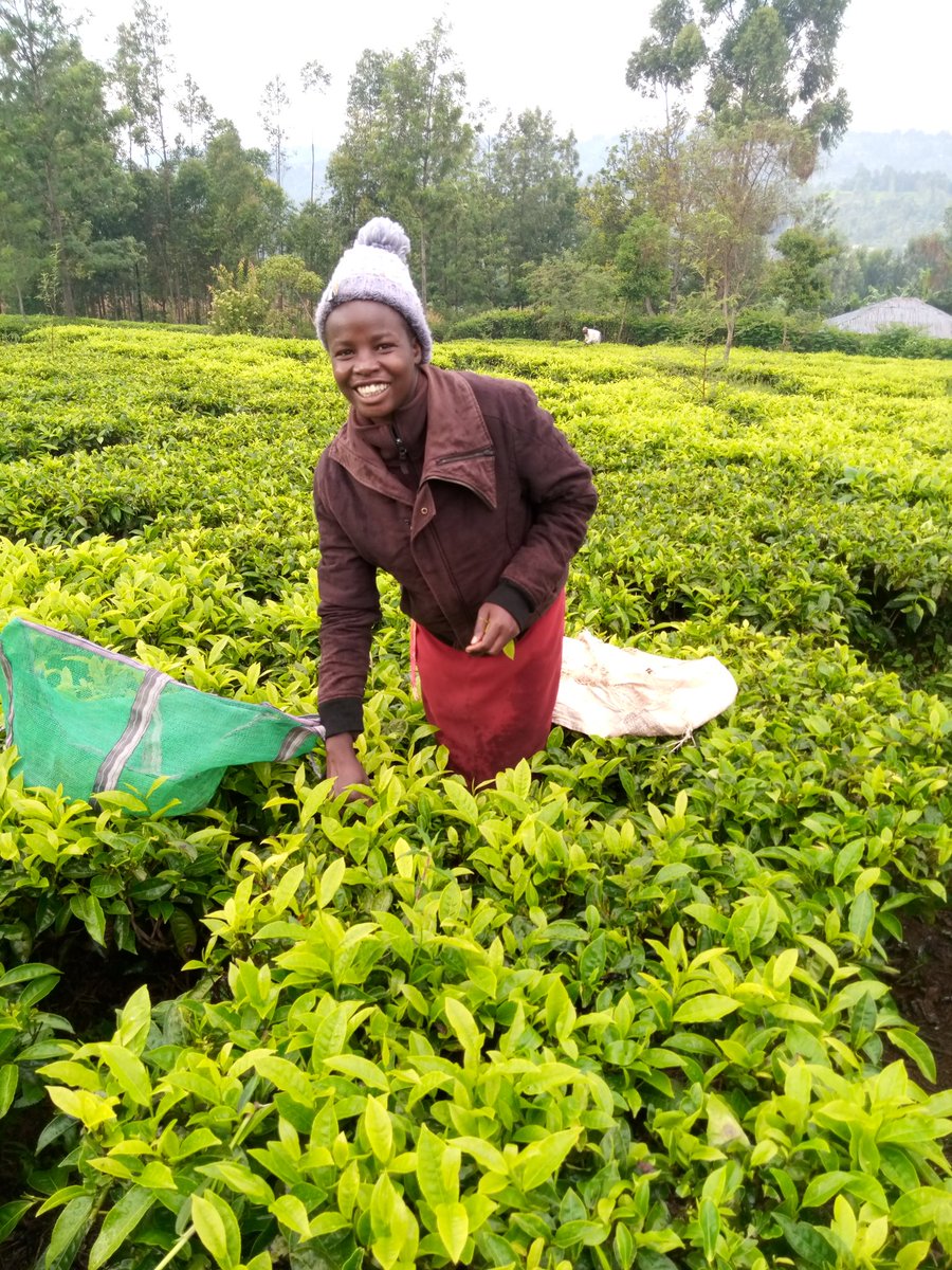 Naom Kemunto5o🇰🇪 tweet media