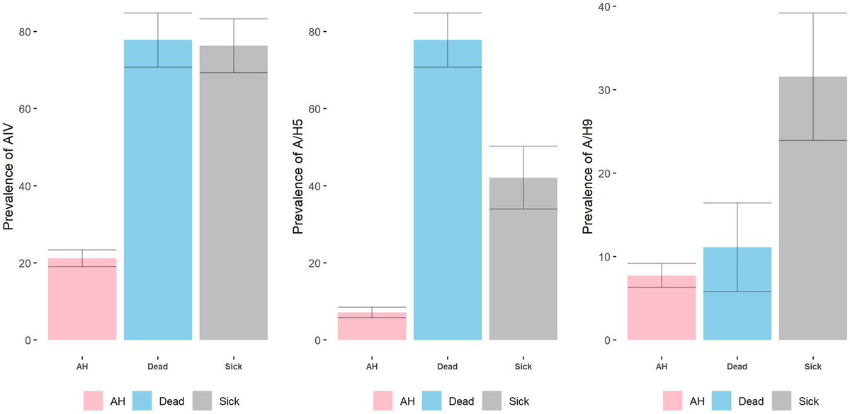 Ariful  Islam tweet media