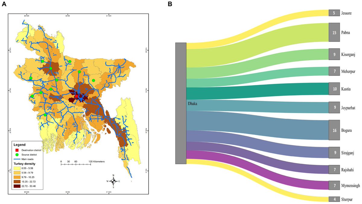 Ariful  Islam tweet media