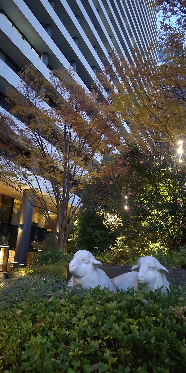 PLANETES11's tweet photo. 【新ダイビルの羊】
阪神高速・堂島入口から高速に乗ったところで目に入る新ダイビルの羊。
しかし、村野藤吾の作品だった新ダイビルも取り壊されました。2015年に、新・新ダイビル完成。
その公開空地にいた羊に、堂島の民は涙しました。
 #不動産屋さんが選ぶ次世代に語り継ぎたいプロジェクト百選 https://t.co/OtNoiKKsqB