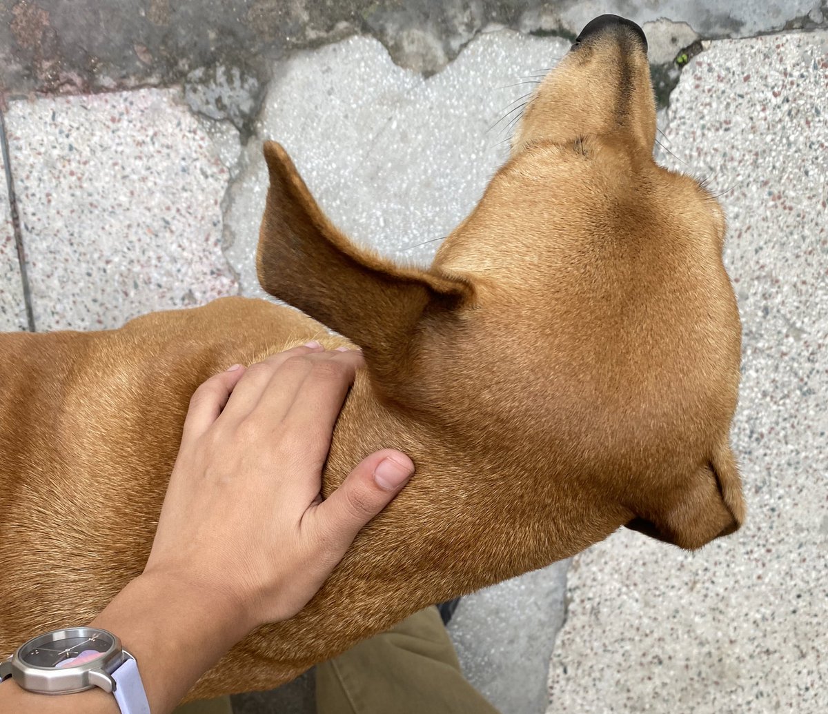 fugguu_'s tweet photo. reason why i get late 🦄 https://t.co/WBZabfXvC9