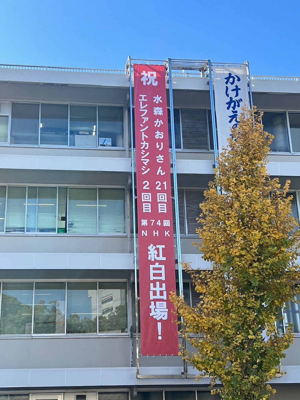 No.205花梨瘤紅白のトレー（2000番仕上げ） No.205花梨瘤紅白のトレー（2000番仕上げ） - メルカリ - 文房具