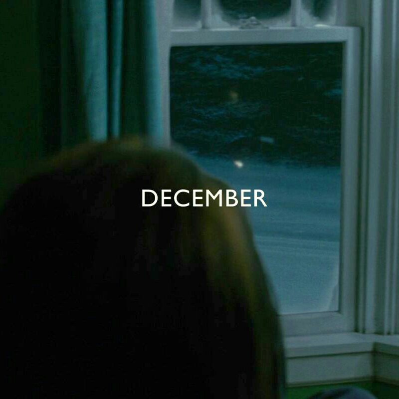 archivetwilight's tweet image. hello december