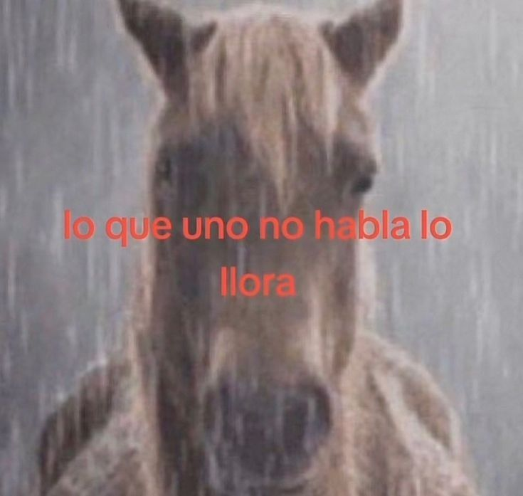 mitsuoxp's tweet photo. q inestable soy https://t.co/eiA4EiycBO