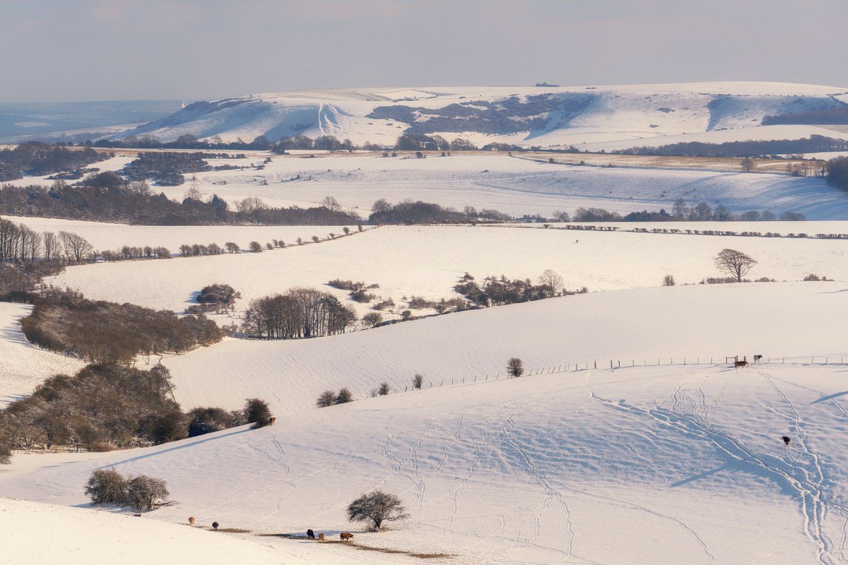 We couldn't possibly post a photo of anything else on the first day of Advent chocolate eating, could we? ⠀⠀⠀
⠀⠀⠀
📷 Sam Moore⠀⠀⠀
📍 Ditchling Beacon ⠀⠀⠀

#SouthDowns #Christmas
