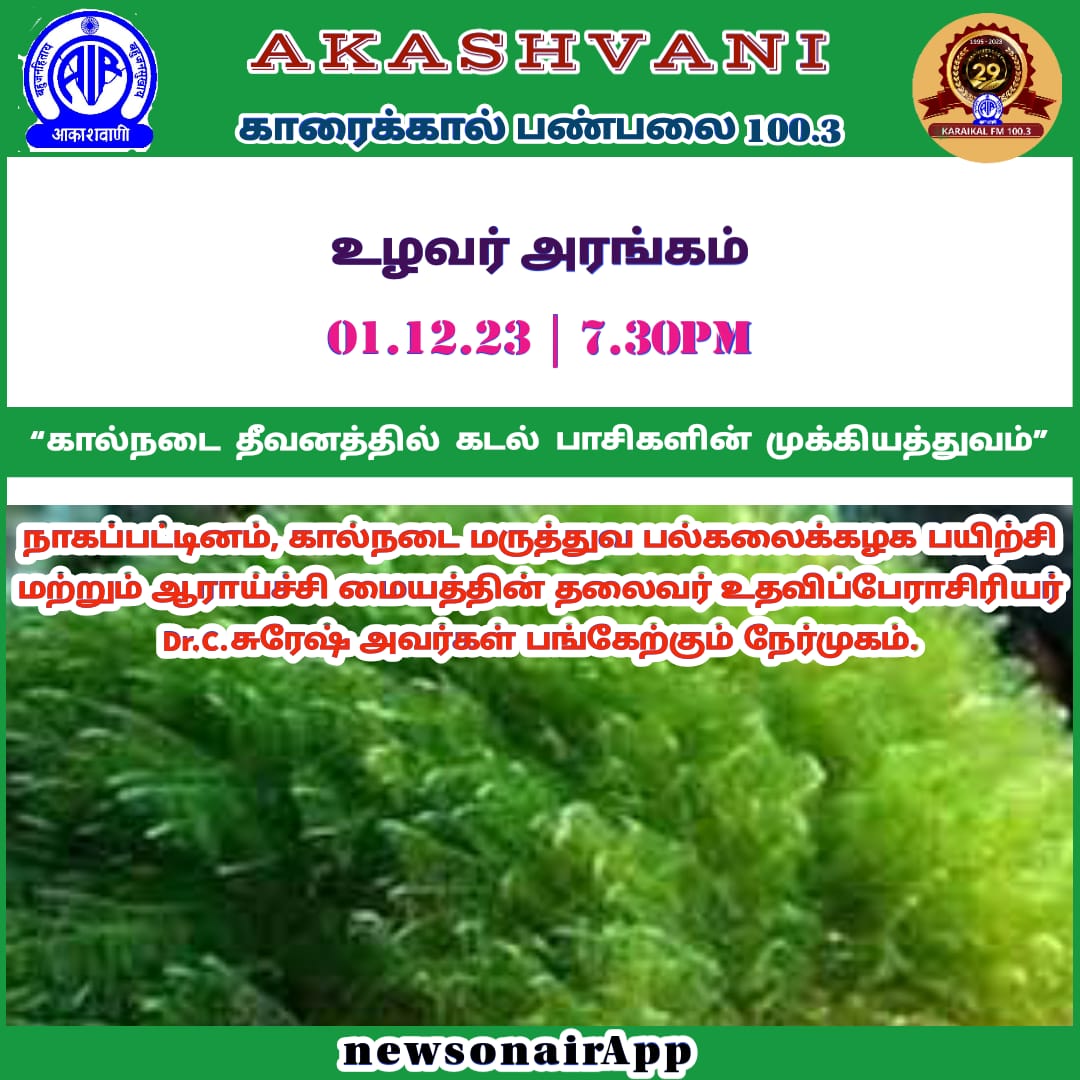 AirKaraikal's tweet image. #MarineAlgae #ChinaGrass @agaragar #Cattlefeed @AirKaraikal @AgriGoI  01-12-2023 - 7.30pm...