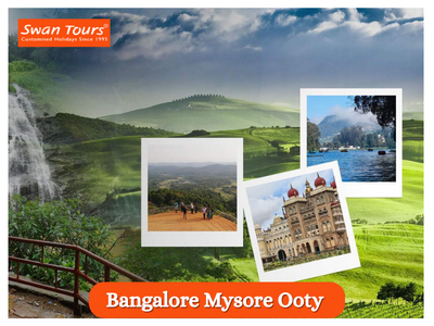 swantours's tweet photo. Contact Swan Tours to explore the Bangalore Mysore Ooty tour packages now at an affordable price!

Visit: https://t.co/ggDs4xfpIm

#bangaloremysoreootytourpackage #mysoreootytourpackage #bangaloretourpackage
#travelagentsinindia #touroperatorsinindia #swantour https://t.co/DSWx61mHYG