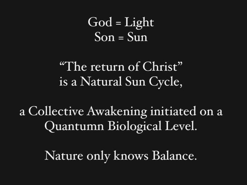 Bears XRPL 🐻 tweet media