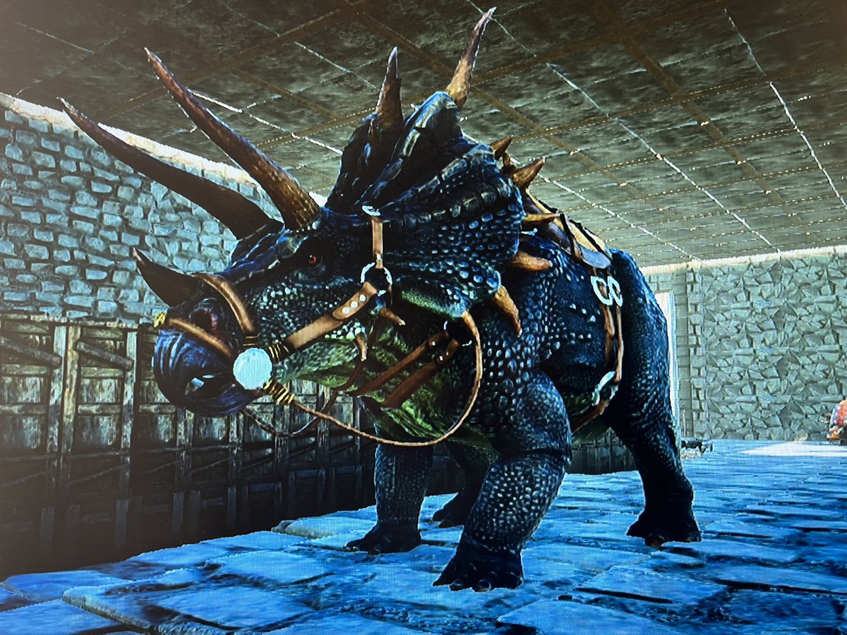obaobakk525's tweet photo. ちょびっとark
最初にテイムしたトリケラさん引っ越しでしんじゃったから(めちゃくちゃ愛着あった🥲)またテイムしに行ったらめっちゃイケメンゲットした(*´∇`*)❤️
かっくいーなトリケラさん🙌🏾✨
てかカワウソって何処にいるの(´;Д;`)カワイイホシイ
#ark #ARKSurvivalEvolved #arkps4 https://t.co/C2k0iiclDI