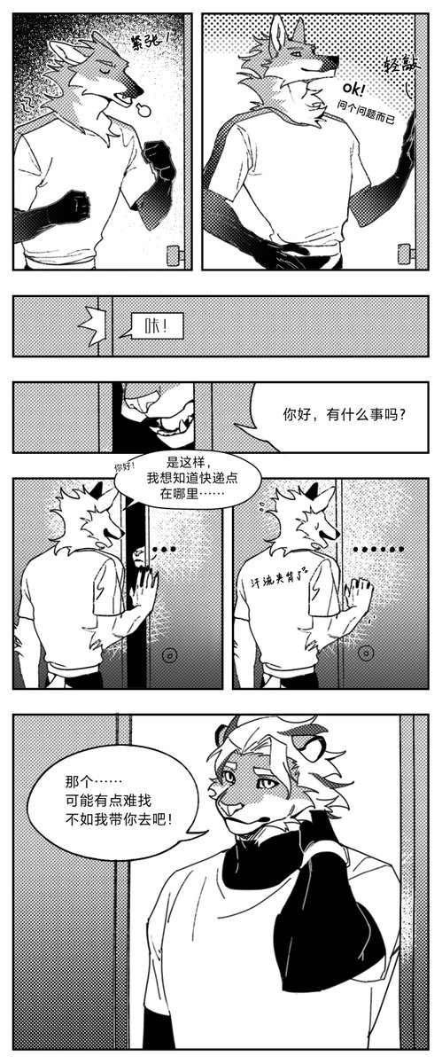 Stray Dog tweet media