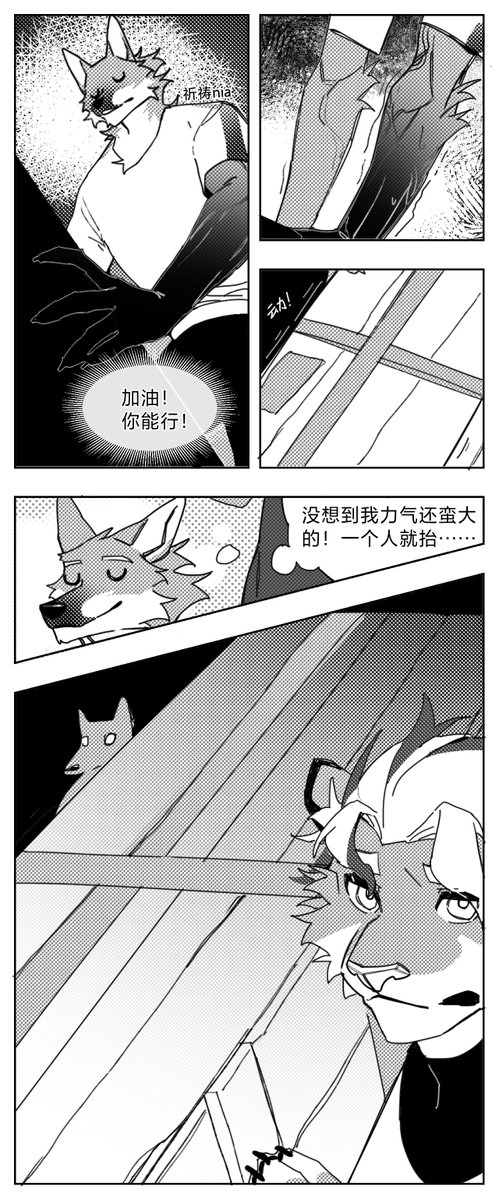 Stray Dog tweet media