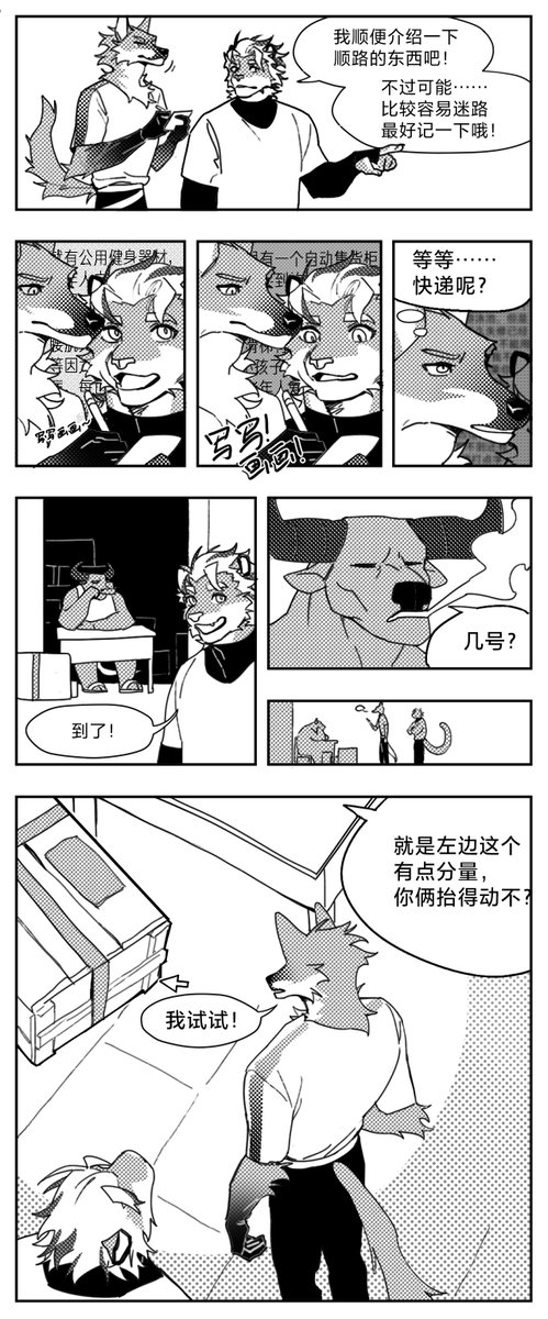 Stray Dog tweet media