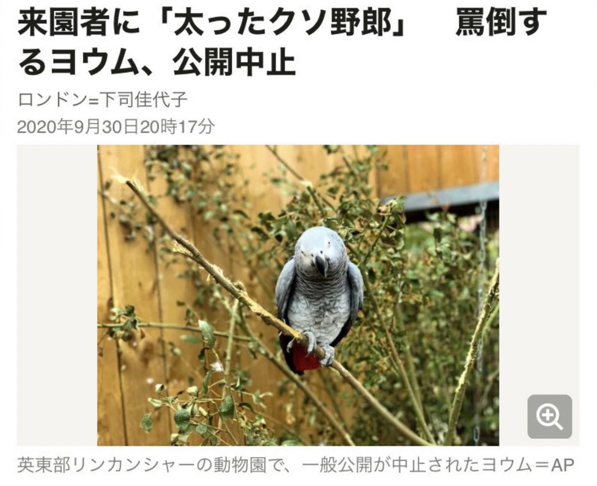 Gekikawa_Dbts's tweet photo. 鳥関係史上
最も面白いニュース https://t.co/cOU6jh90Kj